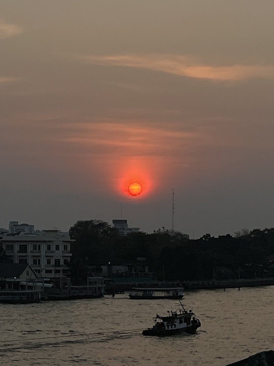 emiamily's tweet image. 🦋🌅