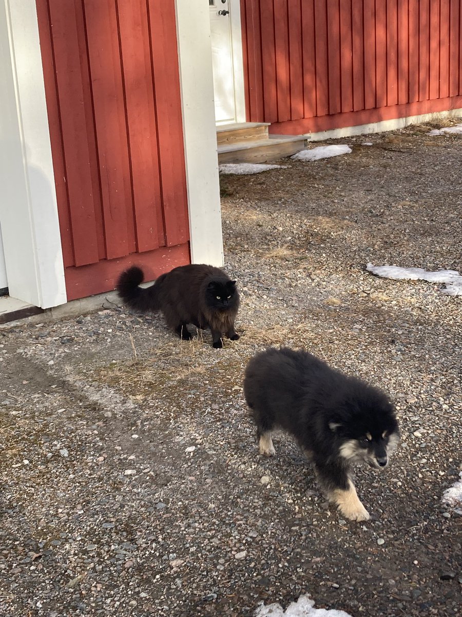 No time for art, no time for sleep, he took it all from me!