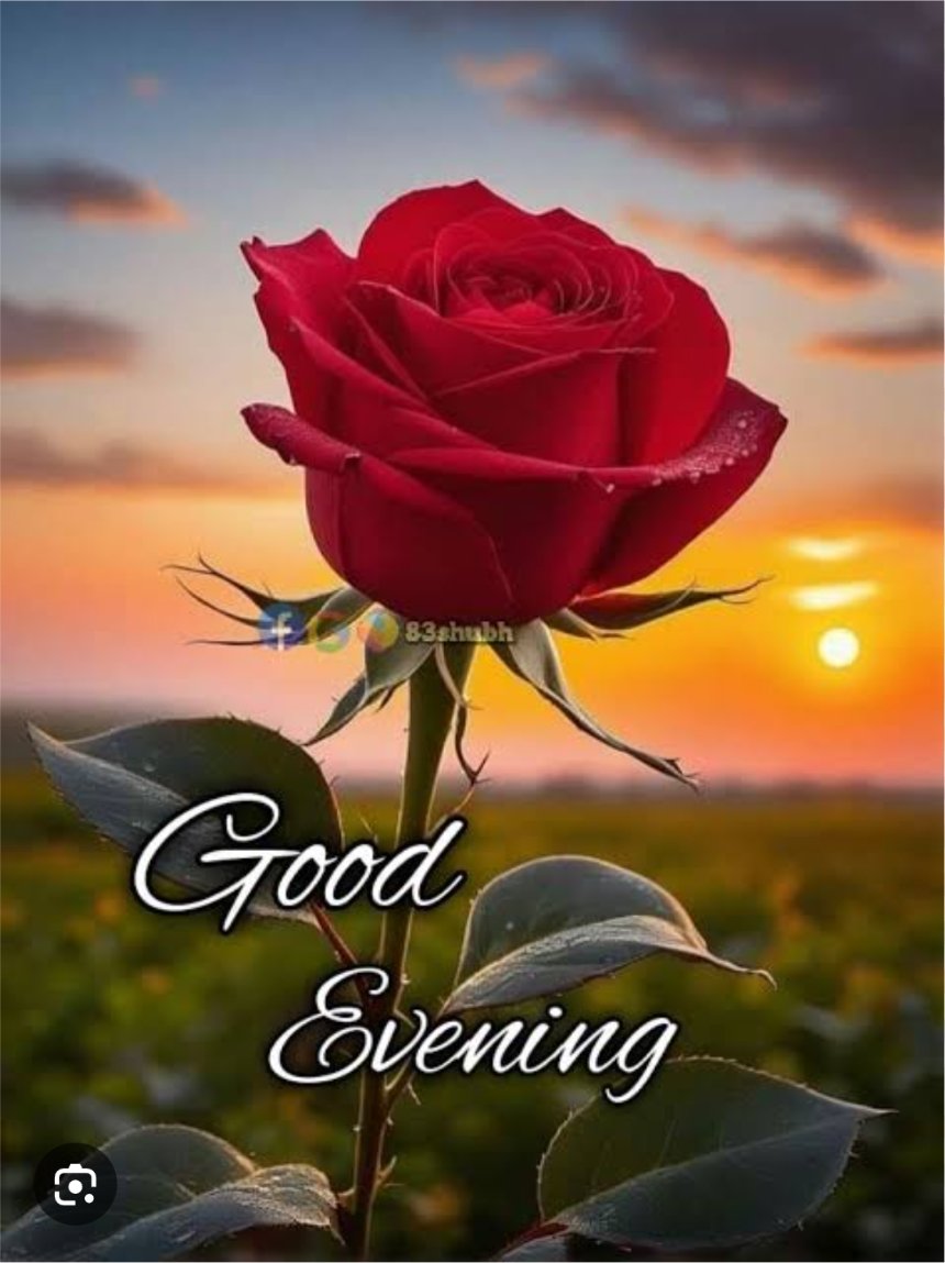 शाम खूबसूरत है,

यह बहुत सारी भावनाओं के साथ आती है,

आशा है कि आपकी शाम अच्छी होगी....!!

शुभ संध्या सभी दोस्तों को
Good evening dear friend