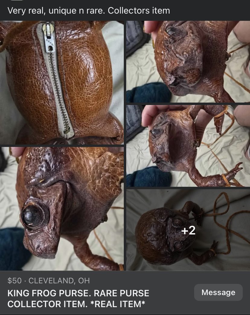 ⚔️Keyboard Warrior⚔️ tweet media