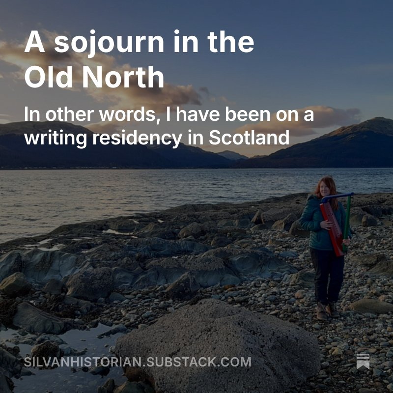 Update! Includes harps, hill forts, early medieval inaugurations, a baby moan that publishing is hard, and a peek at Of Splendid Song aka gay 6th century bard book.

open.substack.com/pub/silvanhist…