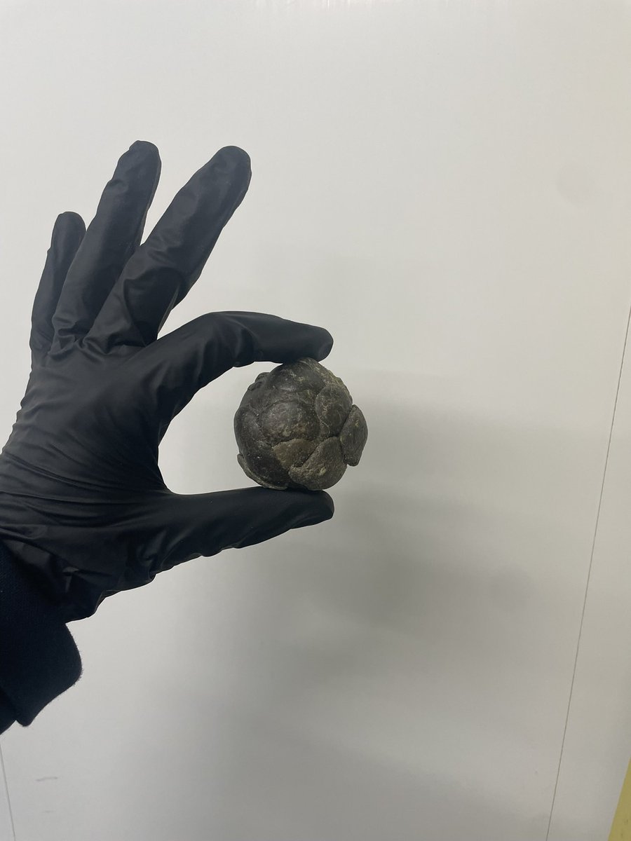 highlyeducatedc's tweet image. in case you’re wondering what it is like to trim G Wagon by @VicCannabisCo