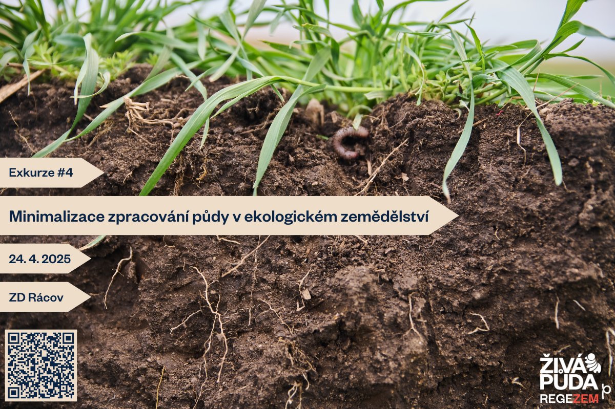 Pěstování polních plodin v režimu ekologického zemědělství může být samo o sobě výzva. Lze současně hospodařit ekologicky a regenerativně? 
O své zkušenosti se na exkurzi do ZD Rácov podělí Ivana Šindelková 24. 4. 2025👇🏻
forms.gle/PPYzMvXqBfZSmM…