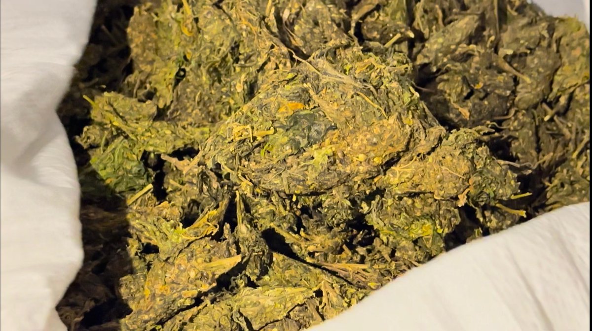 How Tamil Nadu cops cracked down on inter-state bucket ganja racket <a href="/Northzone_smc/">Tamilnadu Police North Zone</a> <a href="/tnpoliceoffl/">Tamil Nadu Police</a> 

thefederal.com/category/state…