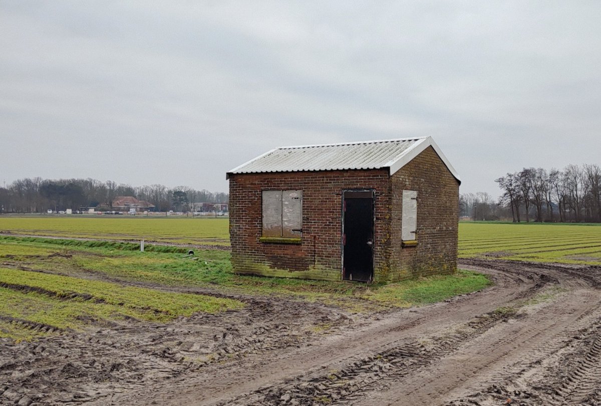 Dit voorjaar krijgen drie landschuurtjes op het bollenland in De Zilk, Voorhout en Noordwijk een opknapbeurt. Op die manier blijven ze behouden en zichtbaar in het landschap van de Duin- en Bollenstreek bollenerfgoed.nl/nieuws/restaur… #bollenerfgoed <a href="/InfoGomdb/">GOM</a> <a href="/CHGDB/">CHG</a>