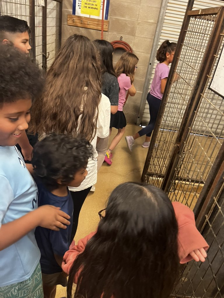 kinderfriends tweet media