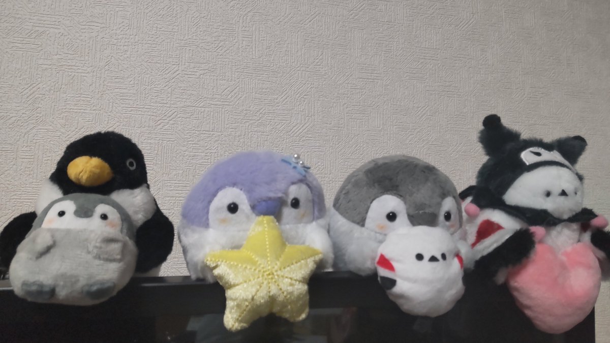 大人さん、おめでとうなんだよ～