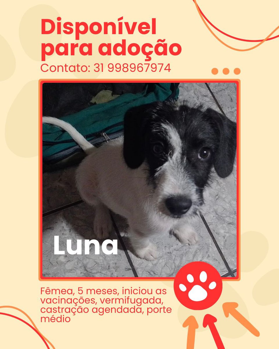 Opa Bichos tweet media