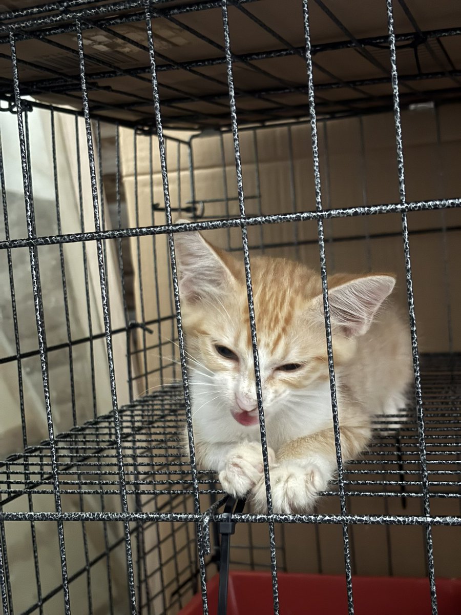meeayusri's tweet photo. Dah 6.4k views tp takda yg minat pn. Sebab kita baka biasa ke 😔 https://t.co/5DzjB78G8x