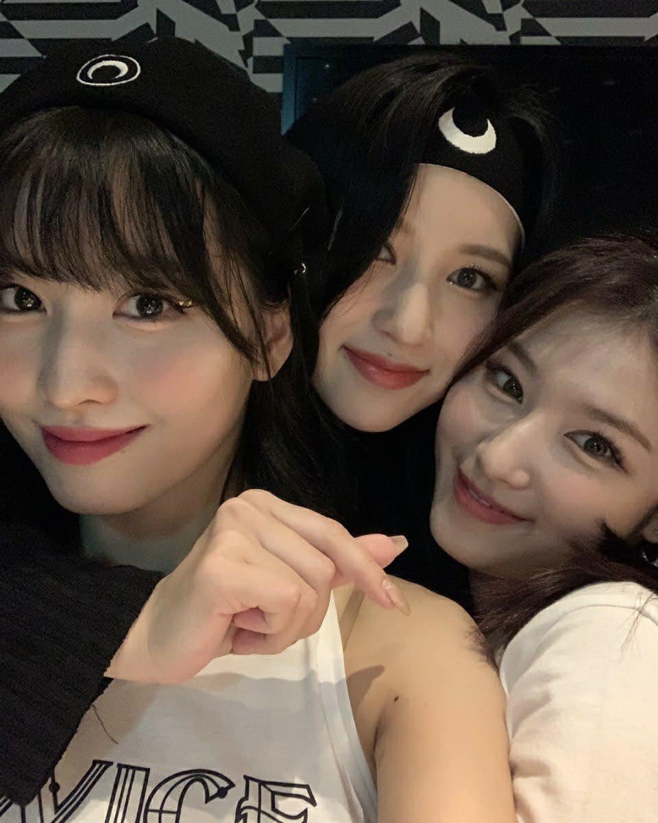 AMonceSana's tweet photo. 一年で一番の繁忙期を終え、退勤退勤退勤！
今からパッキング✈️🧳

東京寒い？？それだけが心配🥹
やばい、全然実感がない笑

かわいいミサモ置いときます🐧🐹🍑 https://t.co/3JRKwPPVaG