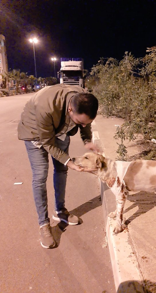 ilyass_RMA15's tweet photo. J'ai reçu une très triste nouvelle 😔💔
 L'association des tueurs d'animaux pardon je voulais dire l'association Casa BAIA a capturé le plus mignon chien du quartier. nous l’avons sauvé de la mort après un grand effort. Il a toujours aimé jouer avec tout le monde 💔 https://t.co/fqNQEVMmk6