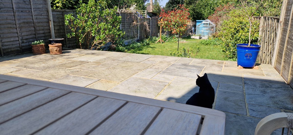 Aaron Cooper tweet media