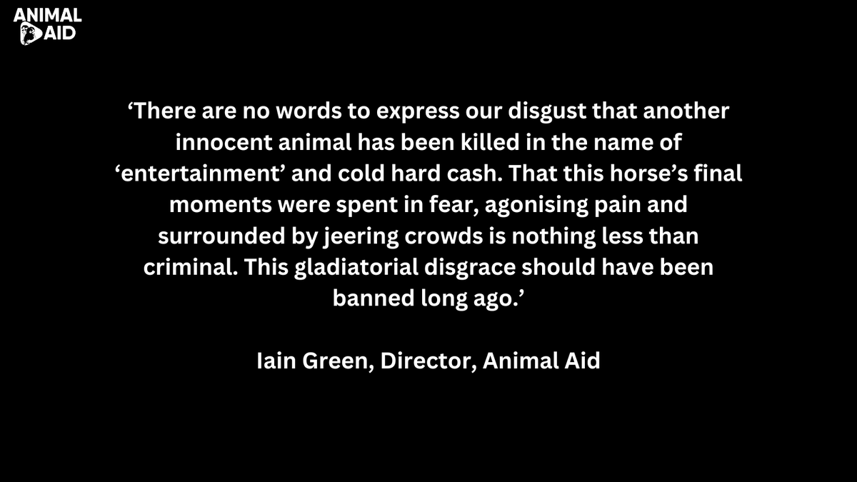 R.I.P Willy De Houelle (FR), just four years old, killed at The Grand National Meeting today. This takes the death-toll of this cruel ‘festival’ up to 66 horses killed since 2000. 💔