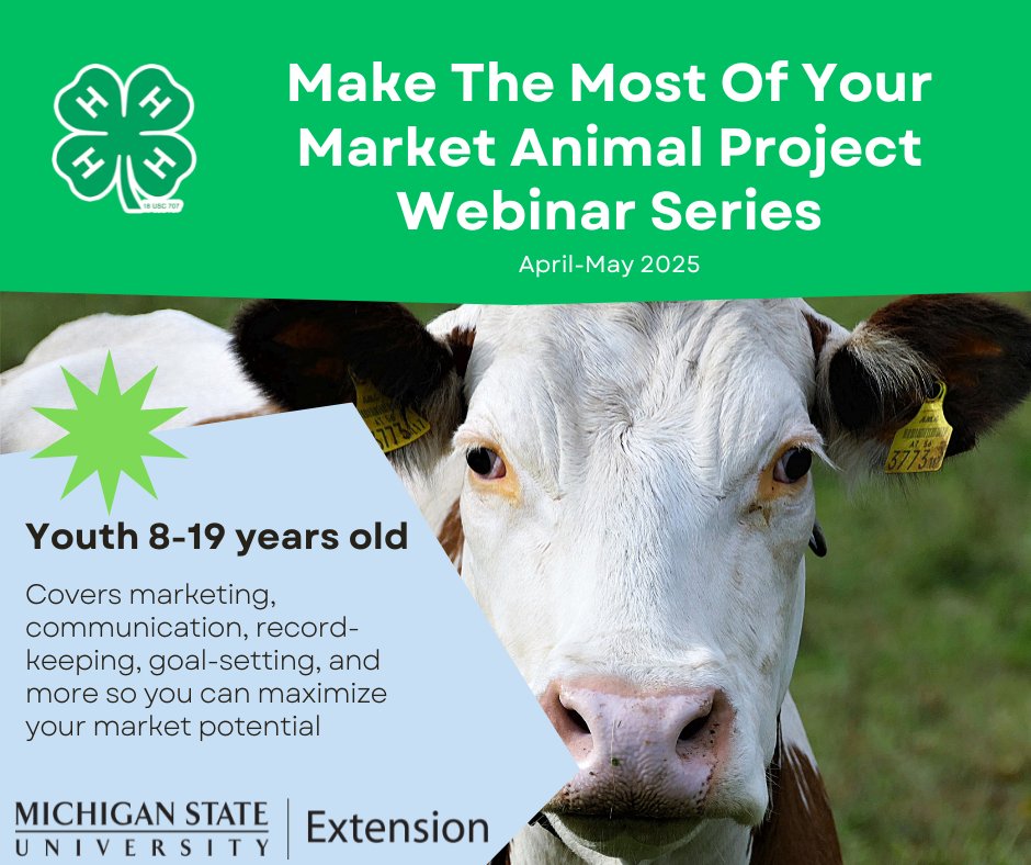 Michigan4H's tweet image. Join the Make the Most of Your Market Livestock Project webinar series this April-May 2025 on Wednesdays at 6:30pm! 
Who: Youth ages 8-19 
Cost: FREE
Take your small or large livestock project to the next level &amp;amp; gain tools for success! 
More info: canr.msu.edu/events/market-…