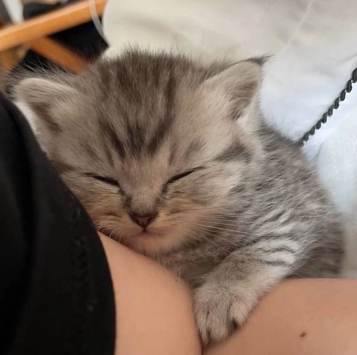 unjun's tweet image. 