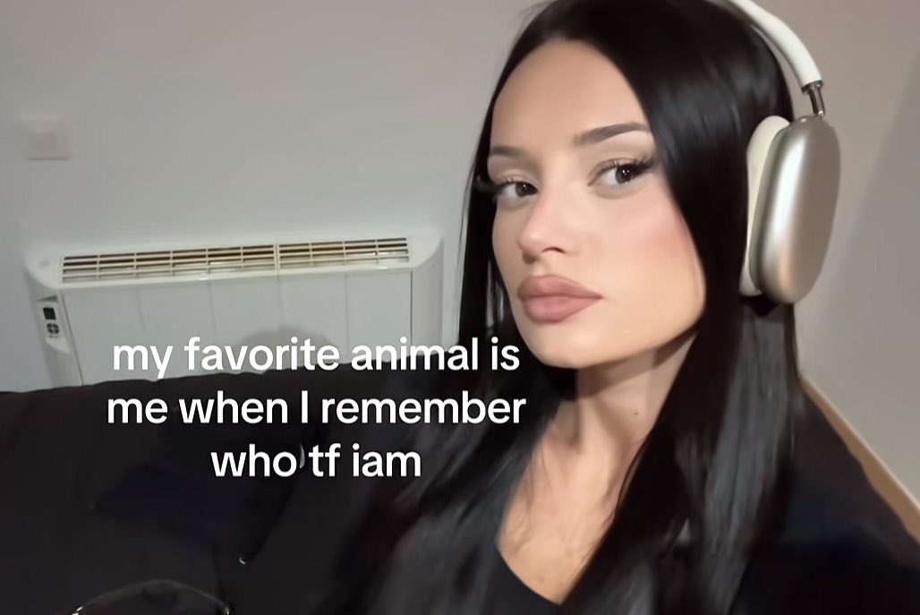 virgobaby (@maybeeevirgo) on Twitter photo 