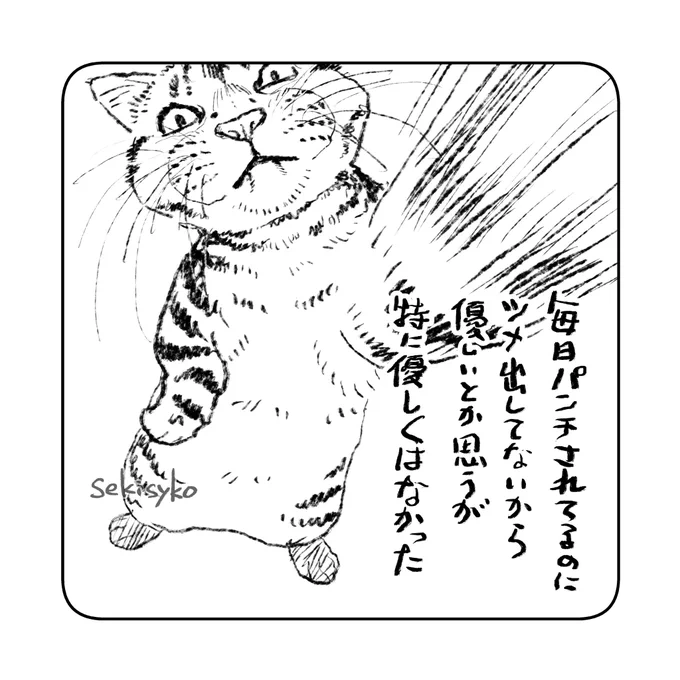 雑日記(左手)
正気で考えたらツメ出されてることの方が多いしな!ワハハ 