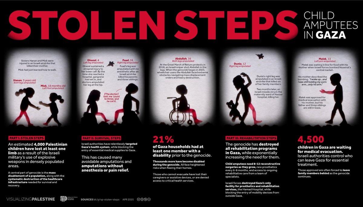 visualizingpal's tweet photo. 🧵1/ Our latest visual, created with @DCIPalestine, tells the stories of children whose lives and limbs have been stolen by Israel, while its destruction of Gaza’s healthcare system leaves them without vital care. https://t.co/e8QQY0uxRI