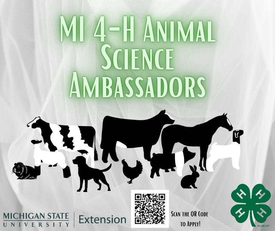 Michigan4H's tweet image. MI 4-H Animal Science youth interested in:
• Building leadership &amp;amp; communication skills
• Networking with peers
• Learning more about animal science
Apply now for the Animal Science Ambassador Program! Must be 15-18, enrolled in 4-H. Due May 1st, 2025.
msu.co1.qualtrics.com/jfe/form/SV_6y…