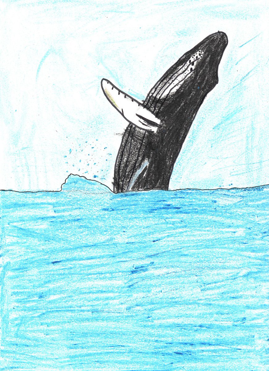 Calling all K-12 artists! Submissions are open for the 2025 Marine Art Contest! 🎉🎨🌊 

The contest is open to all students in Grades K-12 and is a great opportunity to learn about marine life through art!

Learn how to enter &amp; check out past entries: stellwagen.noaa.gov/pgallery/stude…