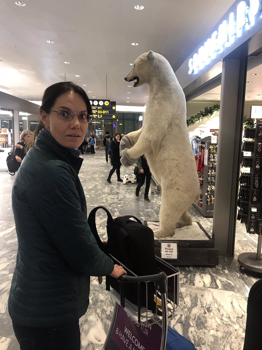 Bonne_de_Bod's tweet image. It's not every day you get to see a a stuffed polar bear in the local airport... welcome to the Arctic Circle!
I remember our flight being delayed (of course it was, bad weather!) when I stumbled across this big surprise. It really is huge, I probably was standing too far back to…