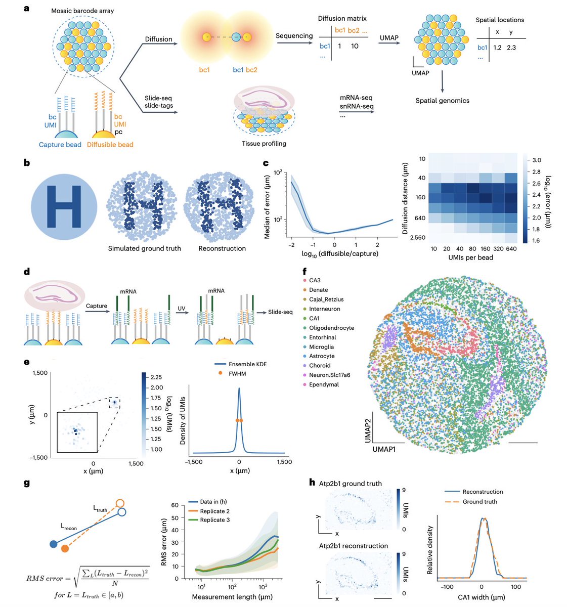 Min Dai (@artofbiology) on Twitter photo Scalable spatial transcriptomics through computational array reconstruction | Nature Biotechnology | from Prof. Fei Chen's Lab and their collaborators at Broad Institute <a href="/insitubiology/">Fei Chen Lab</a> <a href="/HuChenlei/">Chenlei Hu</a> <a href="/broadinstitute/">Broad Institute</a> nature.com/articles/s4158… Scalable spatial transcriptomics through computational array reconstruction | Nature Biotechnology | from Prof. Fei Chen's Lab and their collaborators at Broad Institute <a href="/insitubiology/">Fei Chen Lab</a> <a href="/HuChenlei/">Chenlei Hu</a> <a href="/broadinstitute/">Broad Institute</a> nature.com/articles/s4158…