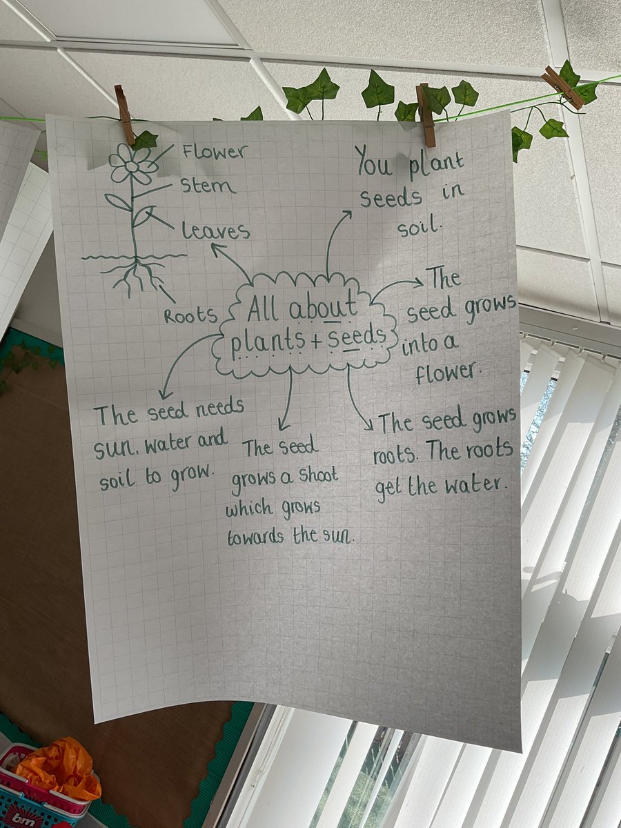 PDA_Rec's tweet image. An afternoon of consolidation in reception. We had lots of fun discussing all the things we have learnt this half term about plants/seeds and caterpillars. We are very proud of ourselves for remembering so much😁 #pdascience