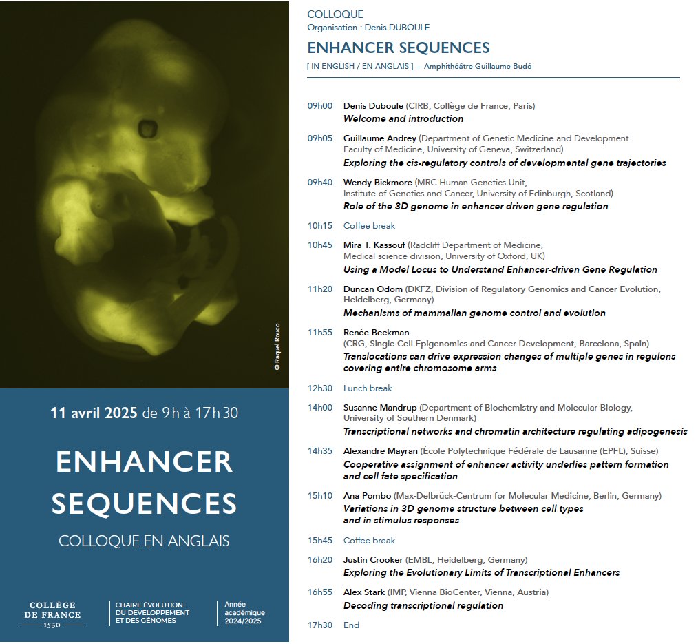 i_jerko's tweet image. If you are in Paris next Friday, 11th of April, come join us for the one-day event on enhancers at College de France @cdf1530. Check out the event poster below showcasing the fantastic speaker list.