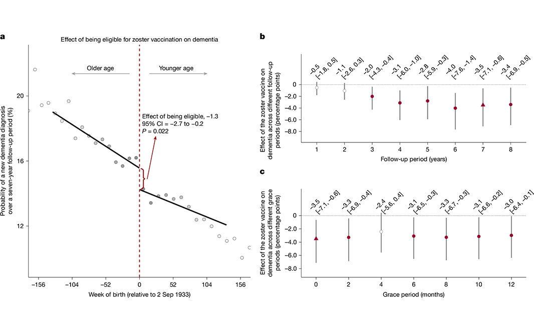 NaturePortfolio's tweet photo. The shingles vaccine reduced the probability of new dementia diagnoses by around one-fifth over seven years, according to a large-scale study of a population in Wales, UK, reported in @Nature. https://t.co/5oD7XnDeOV https://t.co/YSuF5w2x7l