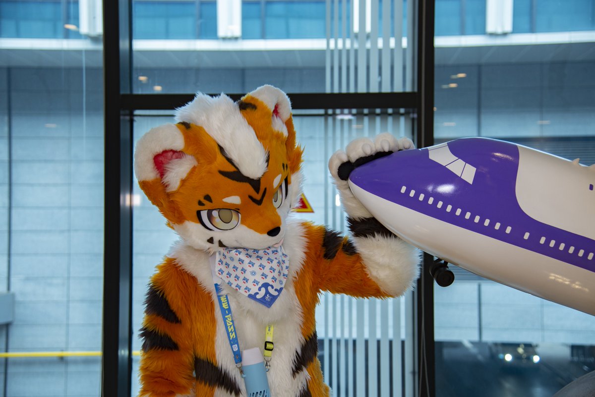 baicai_coin's tweet image. 市区惊现巨大化橙色老虎捕猎飞机！
毛替：@FoxKohaku 
#Fursuit