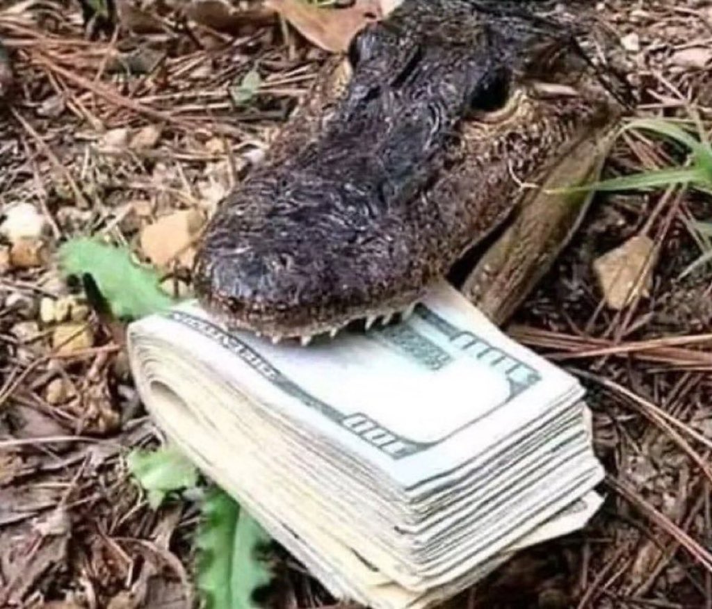 ced_jayy's tweet image. Wyd in this situation???