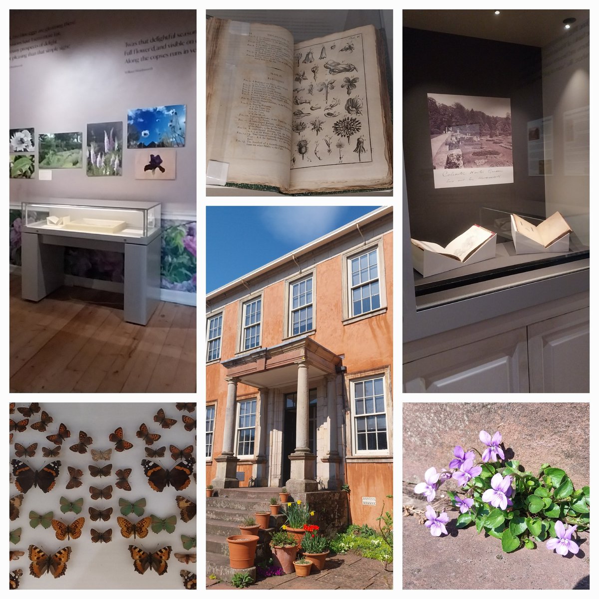 Zoe Gilbert (@lakesandbooks) on Twitter photo New exhibition 'Green and Overflowing with Life'- the Wordsworths and a love of gardens opens 7 April <a href="/WordsworthNT/">Wordsworth House</a> <a href="/nationaltrust/">National Trust</a>. 🙏 <a href="/TullieCarlisle/">Tullie</a> <a href="/WordsworthGras/">Wordsworth Grasmere</a> for the amazing loans #museums #Cumbria New exhibition 'Green and Overflowing with Life'- the Wordsworths and a love of gardens opens 7 April <a href="/WordsworthNT/">Wordsworth House</a> <a href="/nationaltrust/">National Trust</a>. 🙏 <a href="/TullieCarlisle/">Tullie</a> <a href="/WordsworthGras/">Wordsworth Grasmere</a> for the amazing loans #museums #Cumbria