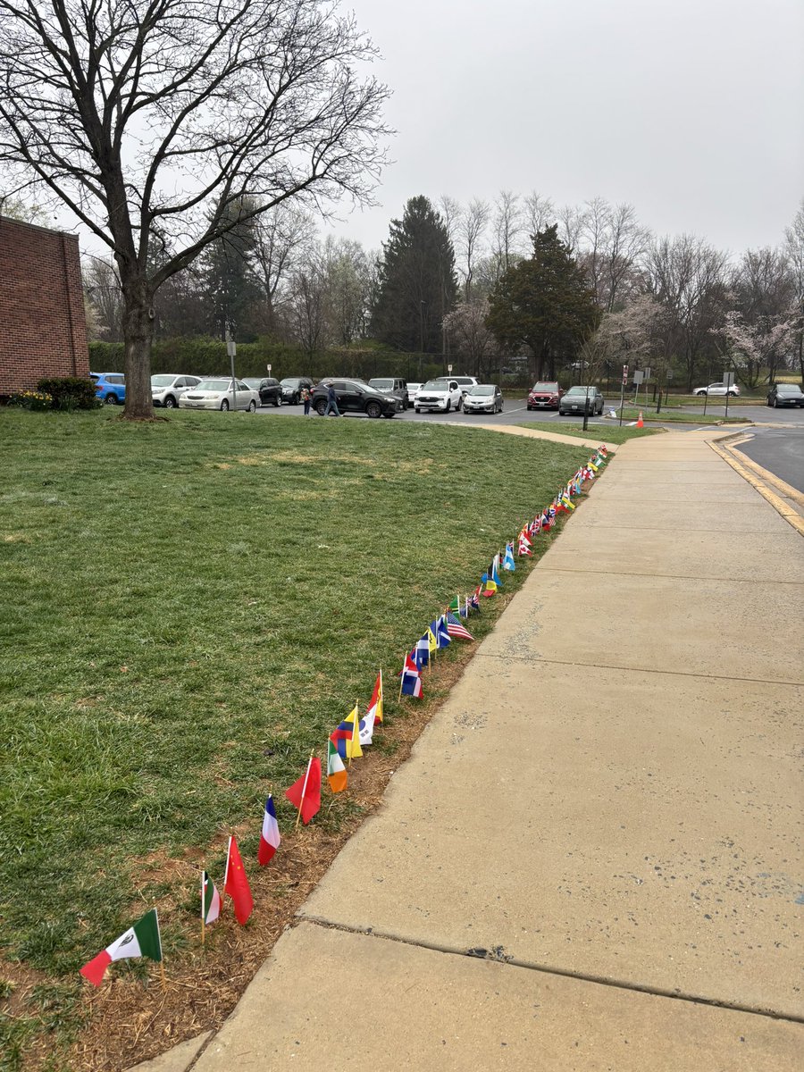 Looking forward to Multicultural Night!