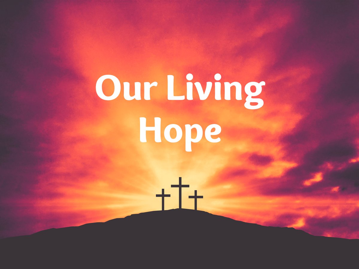 We live in a world where despair is deepening. The weeks leading up to the celebration of Easter are a perfect opportunity to communicate the living hope we have in Christ.
open.substack.com/pub/avapenning…