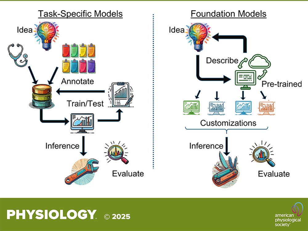 APS Publications (@apspublications) on Twitter photo 🆕Review <a href="/physiol_journal/">Physiology (APS Journal)</a>: Transforming Physiology and Healthcare through Foundation Models
Ryan C. Godwin, et al.
🔗ow.ly/WZj750VtSO3
#FoundationModels <a href="/UABAnes_AI/">UAB Anesthesiology Data Science</a> <a href="/UABNews/">UAB</a> 🆕Review <a href="/physiol_journal/">Physiology (APS Journal)</a>: Transforming Physiology and Healthcare through Foundation Models
Ryan C. Godwin, et al.
🔗ow.ly/WZj750VtSO3
#FoundationModels <a href="/UABAnes_AI/">UAB Anesthesiology Data Science</a> <a href="/UABNews/">UAB</a>
