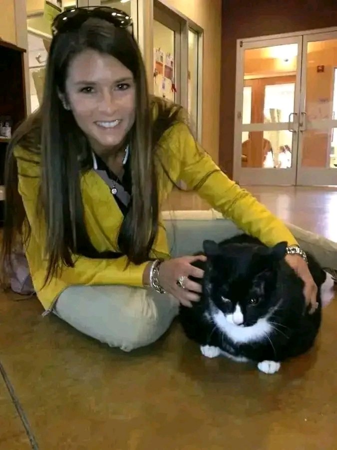 Should I get this cat too ?🥺