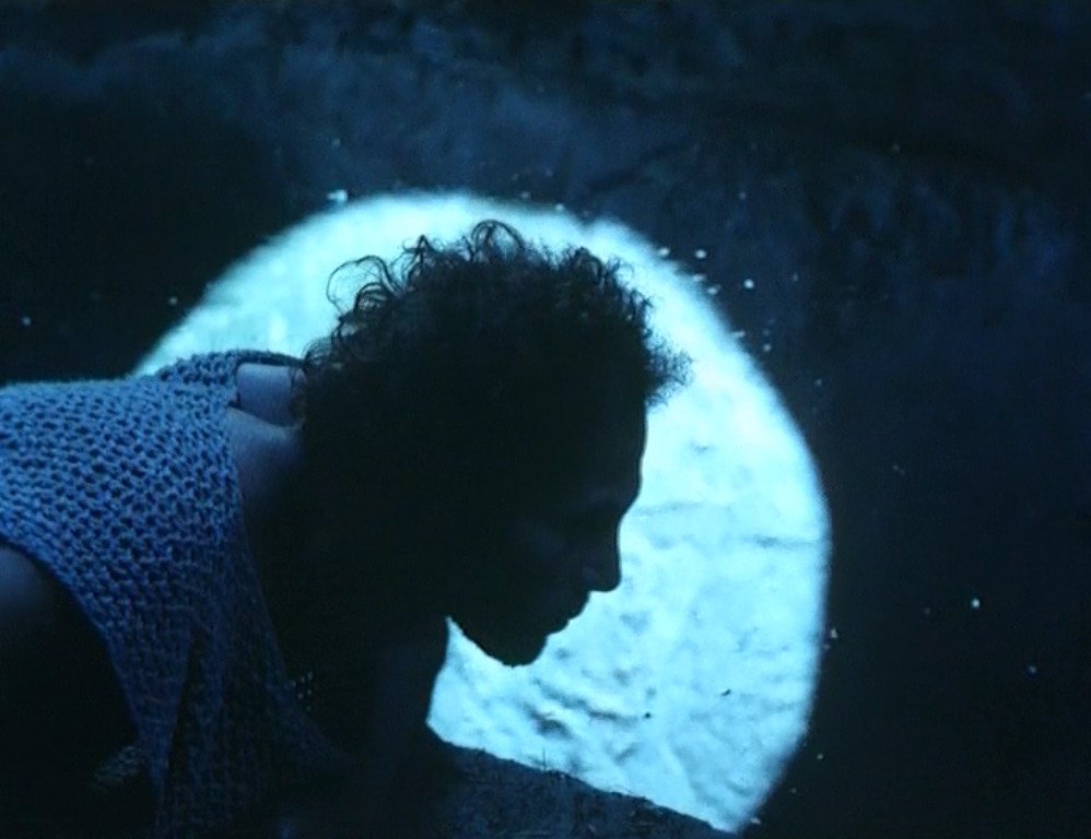 locusdeperditus's tweet photo. Nostos: the return (1989) Dir. Franco Piavoli https://t.co/AcO4U5lNO6