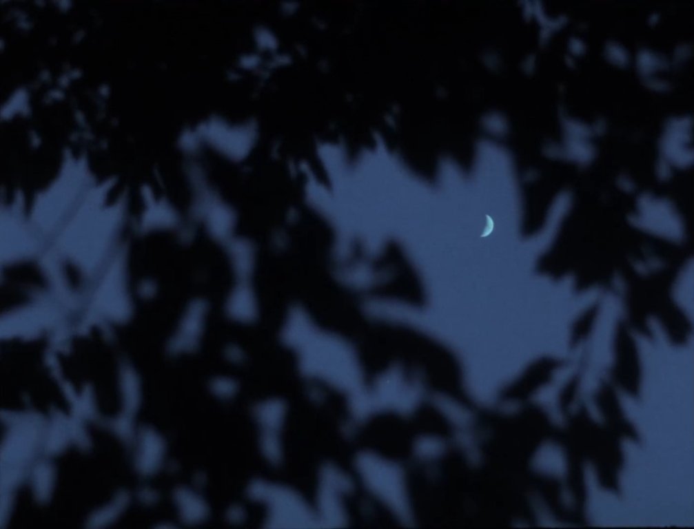 locusdeperditus's tweet photo. Nostos: the return (1989) Dir. Franco Piavoli https://t.co/AcO4U5lNO6