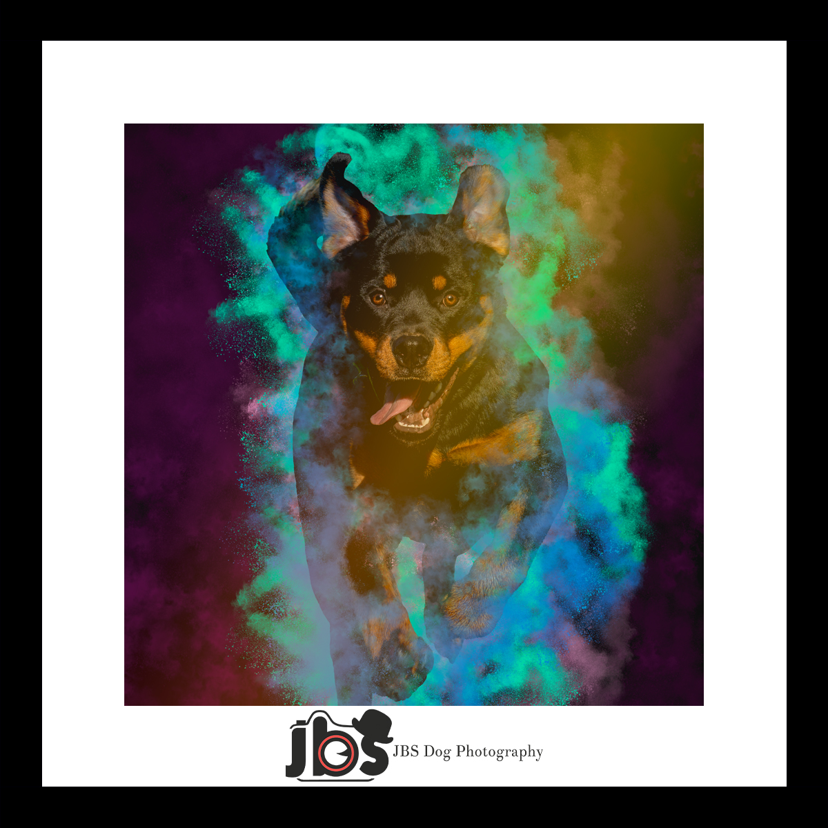 jbs_dog's tweet photo. 🐾✨ Ever dreamed of capturing your pup in a stunning powder shot? 🐶💨 We photograph your furry friend in action and add the magical touch of powder afterwards, all while keeping their safety our top priority! 🌈❤️ 

Give your dog the spotlight they deserve.  #PowderShot https://t.co/4dxfn4ReKX