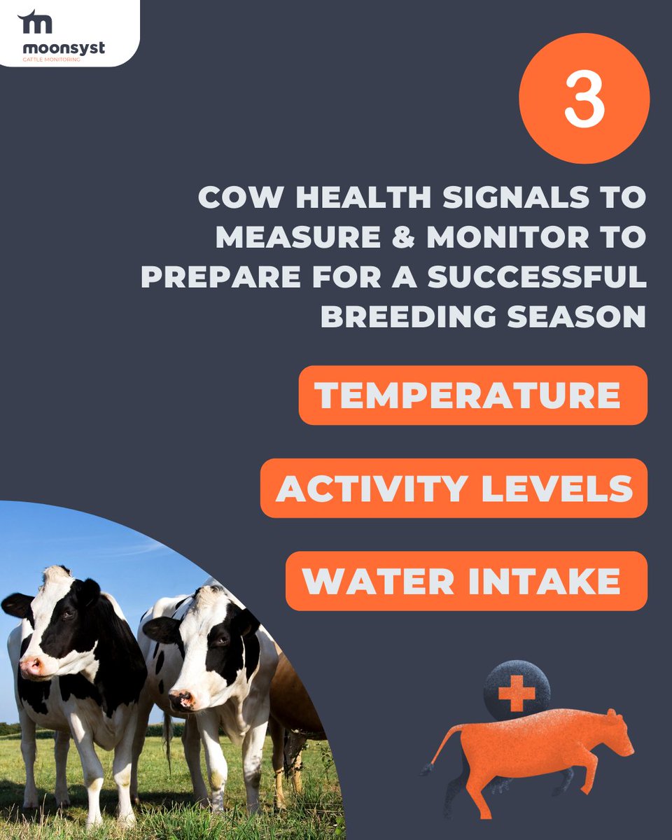 3️⃣ Cow Health Signals To Measure &amp; Monitor to Prepare for a successful breeding season 🐄

Keeping cows in good health during breeding season helps support fertility and productivity. Here are three important signals to keep an eye on: