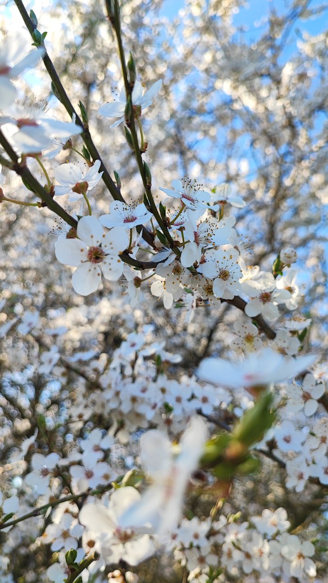 Зима была долгой, но все обошлось)
Что мы писали в ожидании солнца:
1. Относительная ценность
archiveofourown.org/works/61055155
Ричард и несданный экзамен
2. Баллада для кэналлийца
archiveofourown.org/works/61644256
Праздничные традиции севера
3. Надорский суп
archiveofourown.org/works/61387036
Дик едет домой