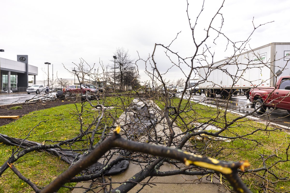 Ryan C. Hermens tweet media