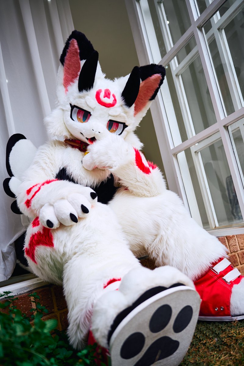 YN971106's tweet photo. 🤍🖤❤️
외출준비~!
おでかけのじゅんび〜！
❤️🖤🤍

📷@mano_4171 

#FursuitFriday
#YoonDragon