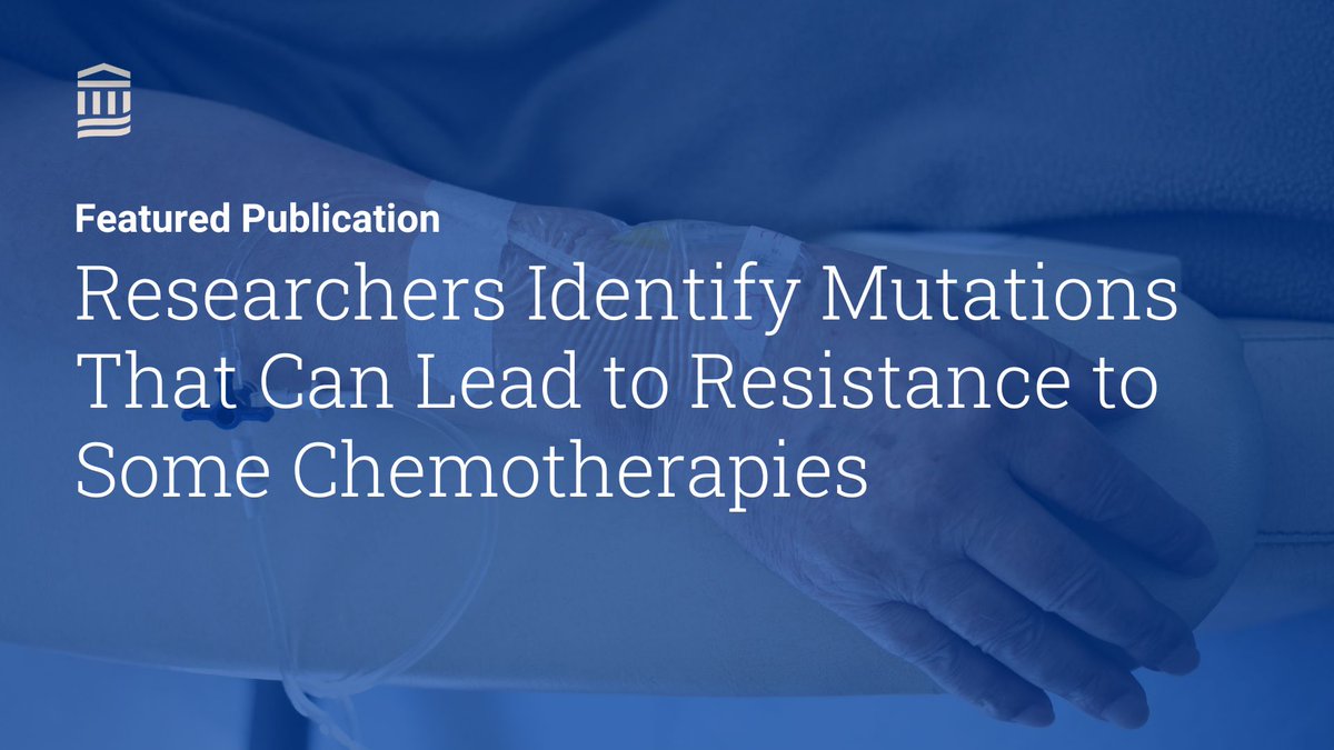 Mass General Brigham Research (@mgbresearchnews) on Twitter photo In a new study, researchers from <a href="/MGHCancerCenter/">Mass General Cancer Center</a> and colleagues identified mutations that can lead to resistance to some chemotherapies. The study was published in <a href="/Nature/">nature</a>.
Read more: massgeneralbrigham.org/en/about/newsr… doi.org/10.1038/s41586… <a href="/LironBarPeled/">Liron Bar-Peled</a> In a new study, researchers from <a href="/MGHCancerCenter/">Mass General Cancer Center</a> and colleagues identified mutations that can lead to resistance to some chemotherapies. The study was published in <a href="/Nature/">nature</a>.
Read more: massgeneralbrigham.org/en/about/newsr… doi.org/10.1038/s41586… <a href="/LironBarPeled/">Liron Bar-Peled</a>