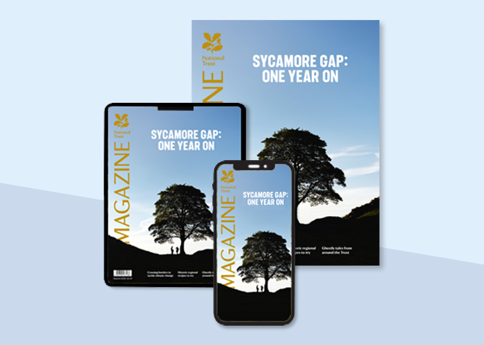 Freya Parr tweet media