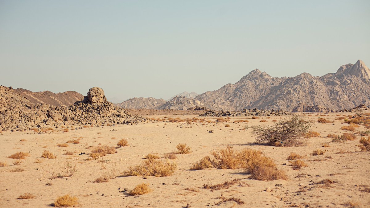 A new article has been posted on the Network's "Connect Journal".  "Rivers in the Desert:  An Epistle for Children, Youth and Family Ministers" by Bishop Michael Rinehart.  connectjournal.org.