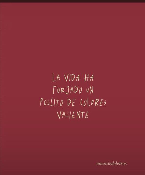 lasomade's tweet photo. Mi mamá me envía 🐣 https://t.co/KVk5YO6OLW