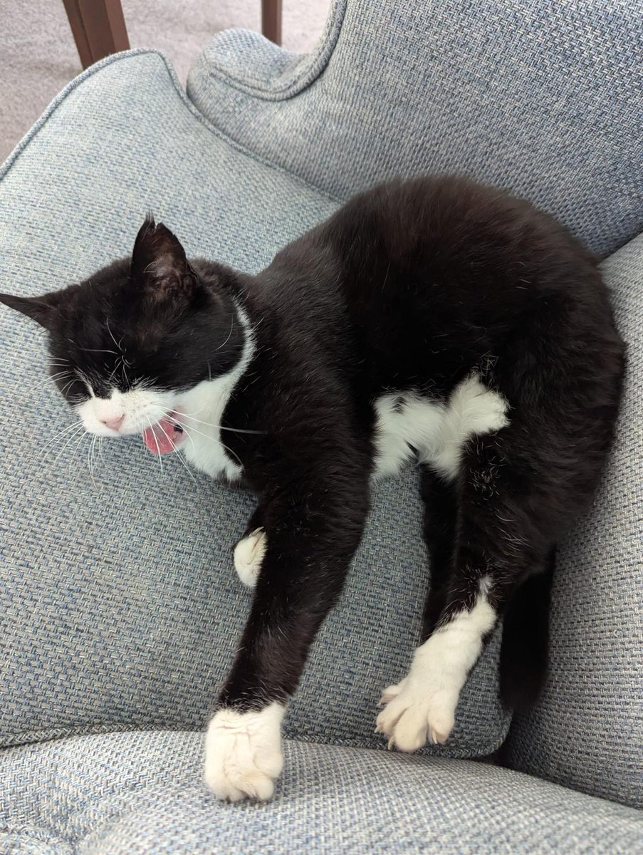 DiploMog's tweet image. I took time out of my busy day to welcome the new U.S. Consul General, Ms Antoinette Hurtado to Bermuda. We are going to be great friends. After this busy diplomatic work, I resumed my semi-retired consultancy lifestyle.
@USConsHamilton @FCDOGovUK
