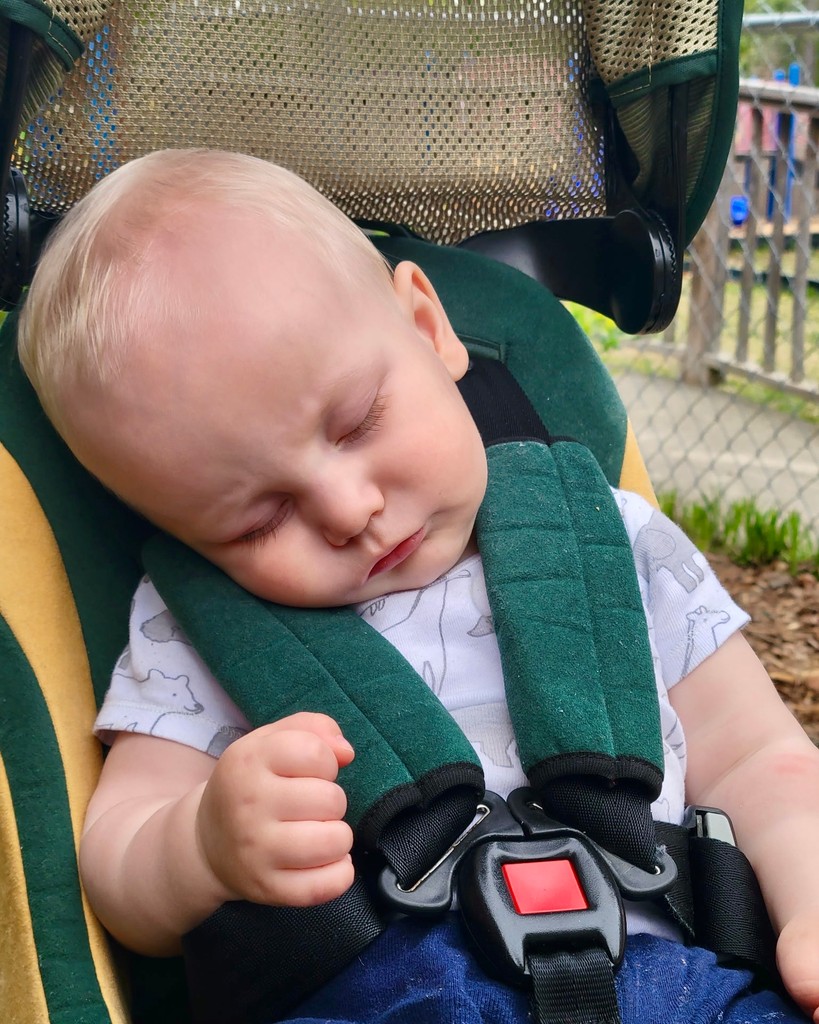 Great weather, full tummy, and a stroll outside at ECC makes for great nap time. 🥰😴