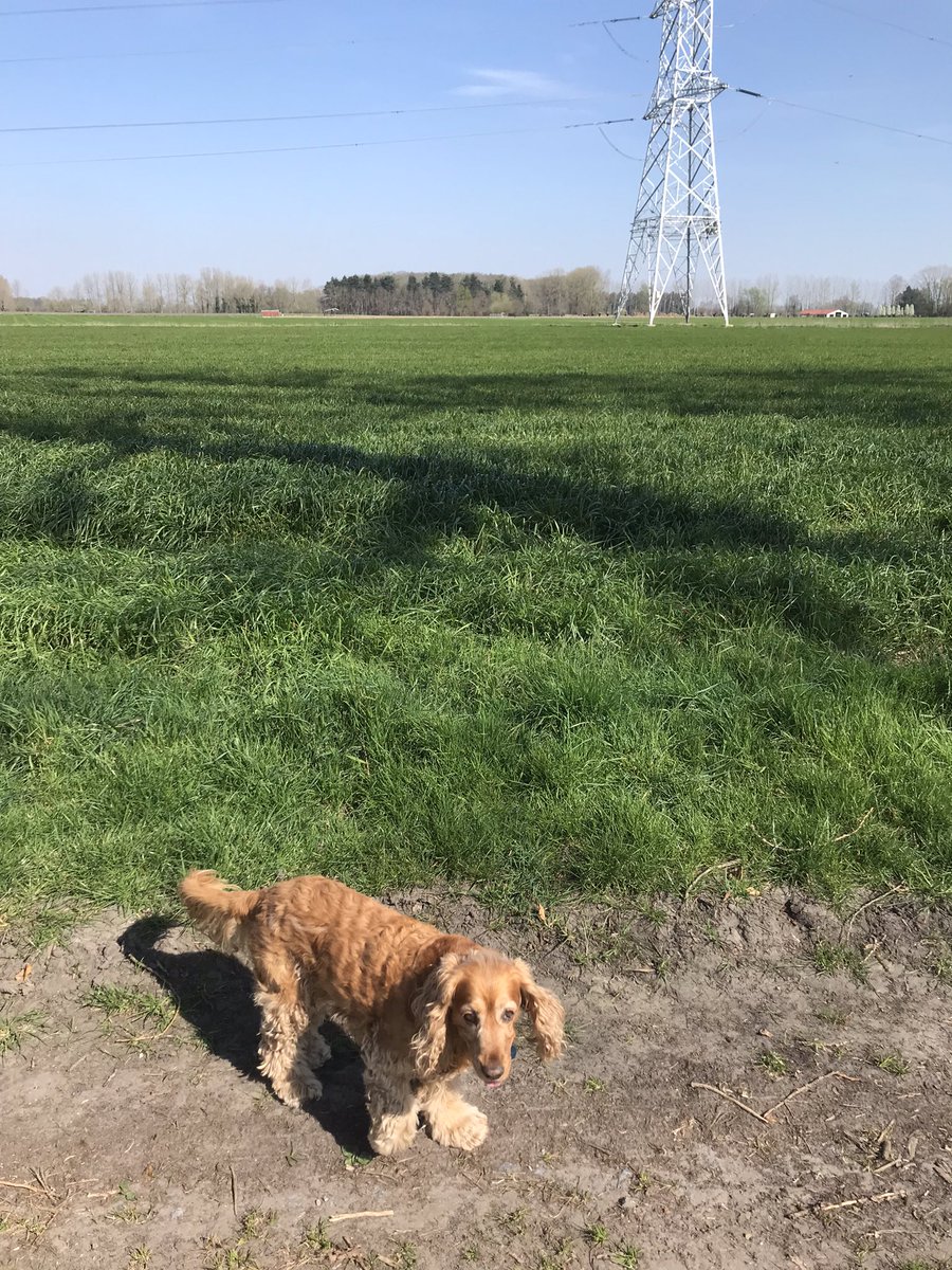 Op stap geweest met deze knapperd 🥰